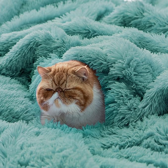 Bedsure Fluffy Green Blankets Queen Size for Bed, Thick Sherpa Faux Fur Fleece Fuzzy Plush Winter Warm Heavy Soft Full Queen Blankets, Bedroom Decor Green Gifts Cozy Gifts for Women Men, 90x90