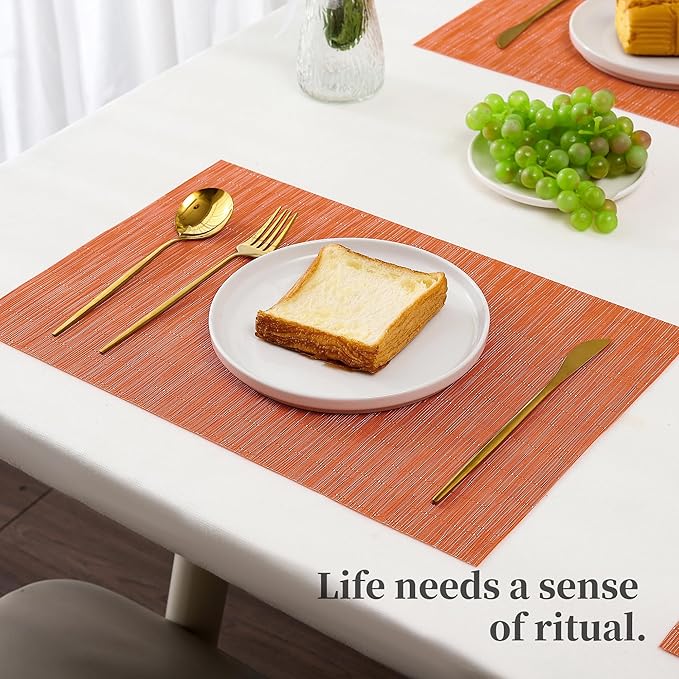 Leetaltree Orange Placemats Set of 8 - Heat Resistant Non-Slip Place mats for Dining Table, Washable Durable PVC Vinyl Woven Table Mats(Orange, 8)