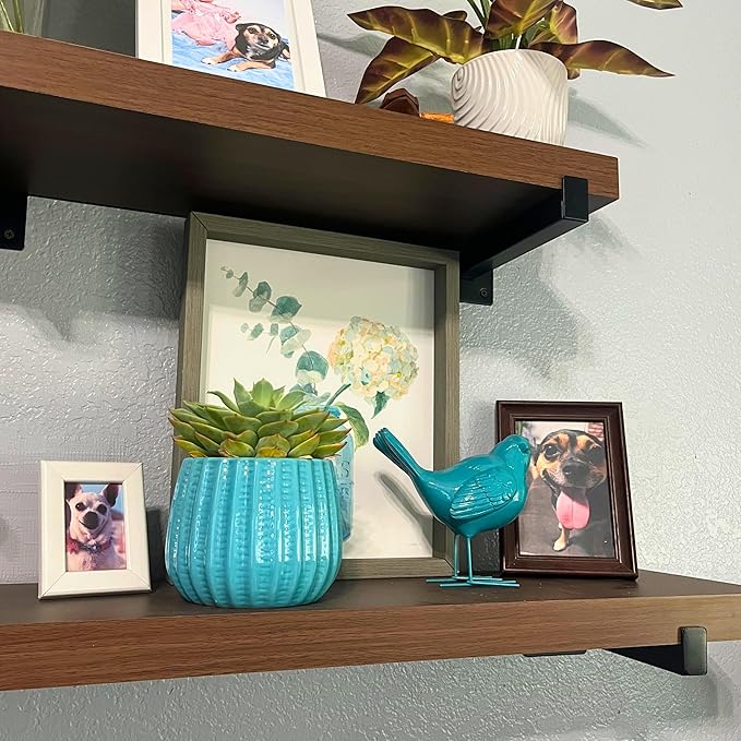 Admired By Nature 4" Ceramic Flower Planter, Ceramic Pot Planter, Indoor Ceramic Bowl, Houseplant Ceramic Pot, Decorative Planter for Indoor Plant Succulent Plant Home Décor, Lightweight, Teal