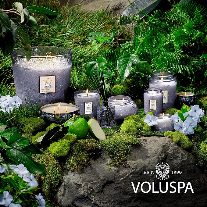 Voluspa Apple Blue Clover, Mini Tin Candle, 4 oz, 25 Hour Burn Time, Coconut Wax for Clean Burning, Handcrafted in The USA