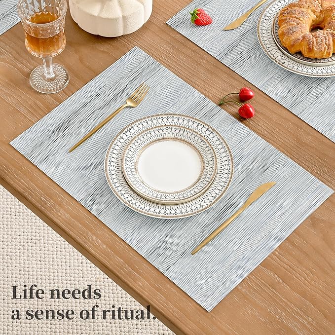 Leetaltree LightSteel Blue Placemats Set of 6 - Heat Resistant Non-Slip Place mats for Dining Table, Washable Durable PVC Vinyl Woven Table Mats(LightSteel Blue, 6)