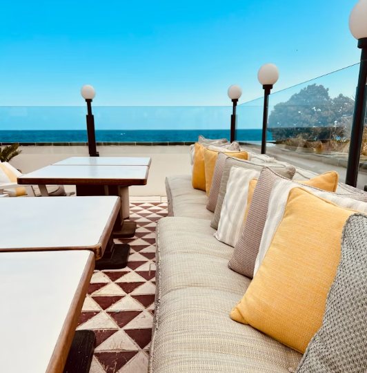 Outdoor Cushions & Pillows