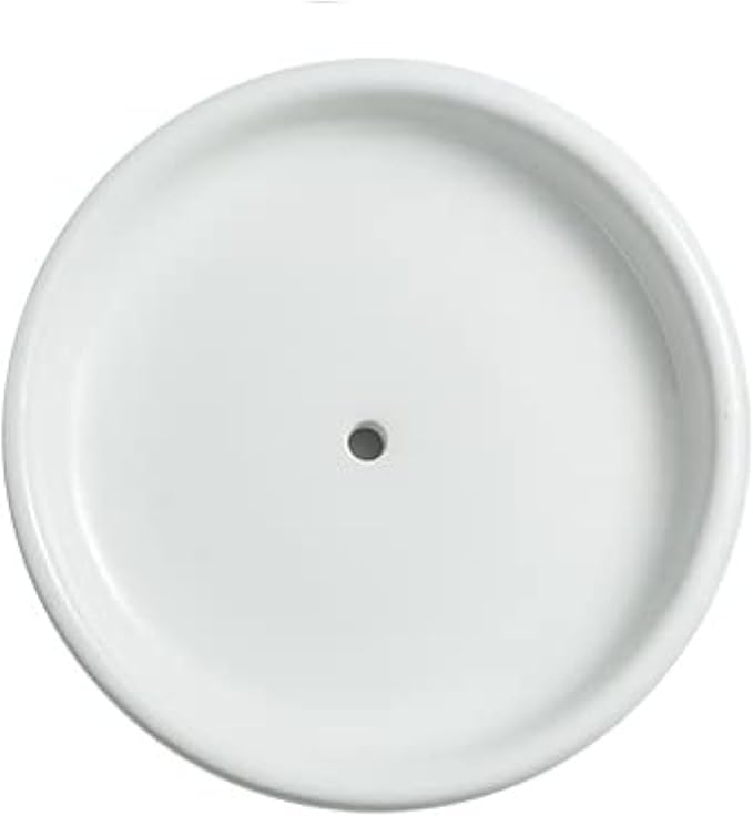 Round Self Draining Soap Dish, Small Ceramic Tray, Cute Jewelry Dish, Keep Soap Dry & Bathroom Décor (White)