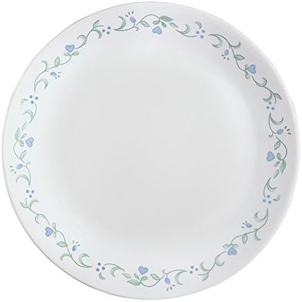 Corelle Vitrelle Glass 12-Piece Country Cottage Chip and Break Resistant Dinner Set, Green/Blue - 3029B
