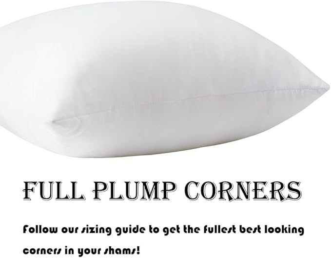 Pack of 4 Throw Pillow Inserts, 18 x 18 Square Cushion Inner Soft Fluffy Plump Stuffer Cushion Pads White Decorative Pillow Inserts (18x18 Inch (Pack of 4))