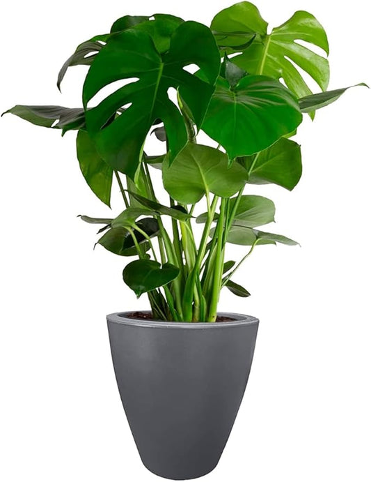Elly Décor 17 inch Planter for Garden with Drainage, Large Round, Lightweight & Extremely Durable, Deck Indoor/Outdoor Plastic Pot, 17"x15"x9", Light Grey
