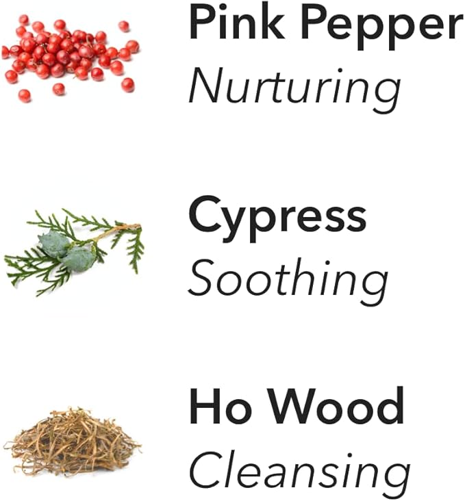 Aera Forest Therapy Essential Oil Aromatherapy Home Fragrance Scent Refill - Notes of Pink Pepper, Cypress and Ho Woods - Works with The Aera Diffuser
