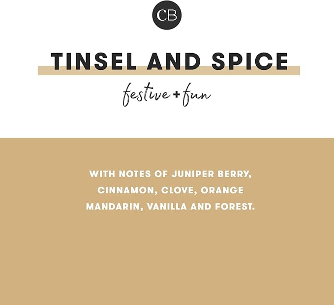 Capri Blue Glimmer Reed Diffuser Set - Includes Diffuser Sticks, Scented Oil, and Decorative Glass Bottle - Home Decor Room Freshener - Capri Blue Home Fragrance - Tinsel & Spice (8 fl oz)