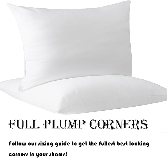 Pack of 4 Throw Pillow Inserts, 18 x 18 Square Cushion Inner Soft Fluffy Plump Stuffer Cushion Pads White Decorative Pillow Inserts (12x20 Inch (Pack of 4))