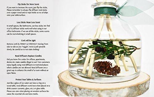 LOVSPA Winter Forest Pine Reed Diffuser Gift Set | Juniper Berries, Sandalwood & Cedar Notes | Made with Real Botanicals + Wooden Coaster | Proudly Made in The USA