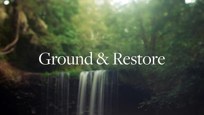 Aera Forest Therapy Essential Oil Aromatherapy Home Fragrance Scent Refill - Notes of Pink Pepper, Cypress and Ho Woods - Works with The Aera Diffuser