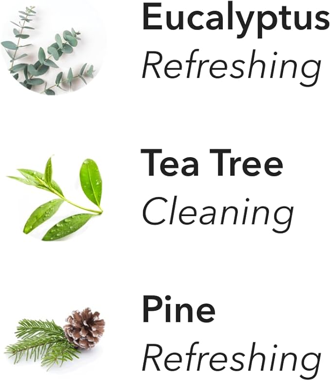 Aera Support Breathe Aromatherapy Essential Oil Home Fragrance Scent Refill - Notes of Eucalyptus, Tea Tree and Pine - Works with The Aera Diffuser