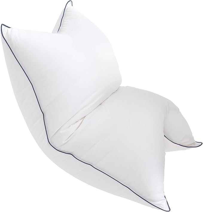 Goose Down Bed Pillow, Queen Size Bed Pillows for Sleeping, Ultra-Soft 750 Fill-Power Hotel Collection Pillow for Back, Stomach or Side Sleepers (20 * 28,Pack of 1)