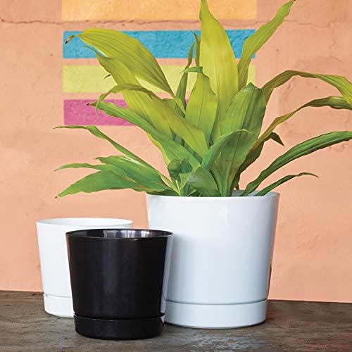 Novelty Majestic Full Depth Round Cylinder Pot, Glossy White, 8-Inch (10082)