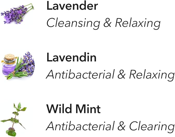 Aera Home Hygiene Lavender and Bergamot - Essential Oil for Home - Relaxing Fragrance - Notes of Lavender, Lavandin and Wild Mint - Scent Refill - Works with The Aera Diffuser