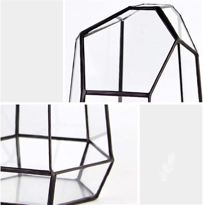 Geometric Glass Terrarium for Indoor Plants,Irregular Clear Planter,Black Opened Container Pot for Cacti,Succulents and Moss,Home Garden Office Tabletop Decor,6.5x5.7x9.8'' No Door