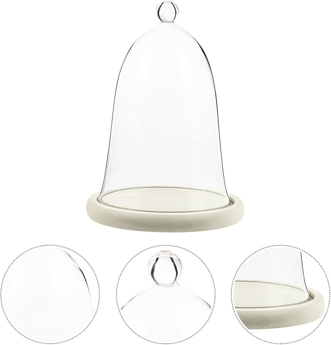 Clear Glass Dome Cloche with Rustic Wooden Base Antique Bell Jar Display Dome for Plants Succulents Fairy Lights Photos Medals Decorative Fill and More White
