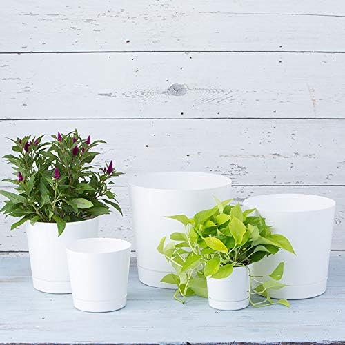 Novelty Majestic Full Depth Round Cylinder Pot, Glossy White, 8-Inch (10082)