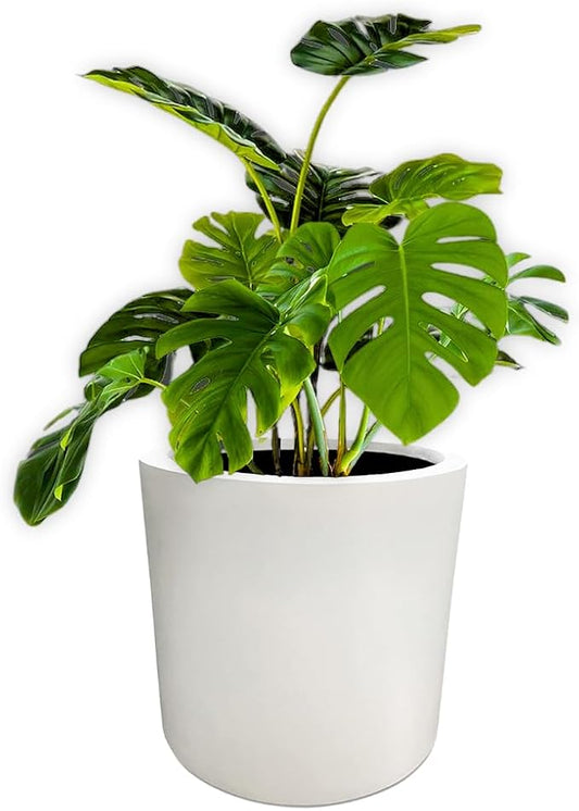 Elly Décor Cylindrical 11.5-inch Pot, White Planter Made of Fiberglass and Hand-Painted, Suitable for Indoor and Outdoor Plants and Flowers, with Drainage Hole and Plug