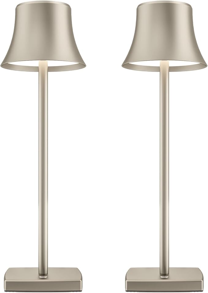 2 Pack LED Cordless Table Lamps Rechargeable,5000mAh Battery Operated Table Light,3 Color Stepless Dimming,Portable Small Desk Lamp in Aluminum for Party Patio Restaurant Indoor/Outdoor(Silver)