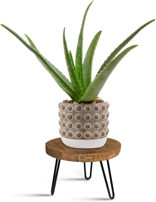 OBTAIN Plant Stand Indoor Outdoor, Wooden plant Stool, Mid Century Plant Stand for Indoor Plants, Wood Modern Plant Holder Rattan Flower, Low Short Boho Rustic Planter Stand Fit 5-15 Inch Pot(M)