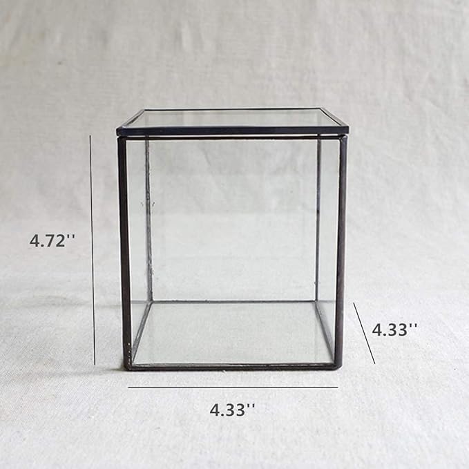 Small Square Glass Terrarium with Lid,Geometric Clear Box for Indoor Plants,Black Little Handmade Planter Pot for Succulents,Moss and Air Plant Fern,Home Garden Decor,4.3 x 4.3 x 4.7inch