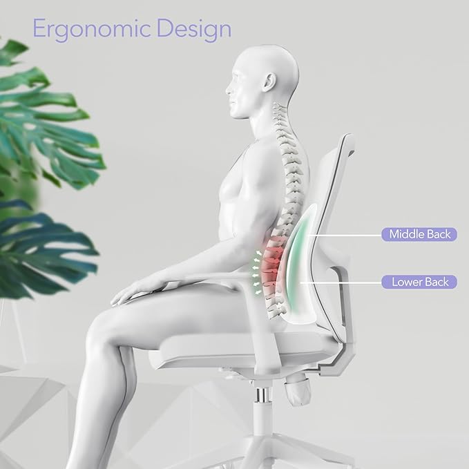 Lumbar Support Pillow for Office Chair - Ergonomic Memory Foam Back Support for Office Chair, Office Chair Back Support Cushion for Back Pain, Ideal Back Support Pillow for Car & Office, Gray