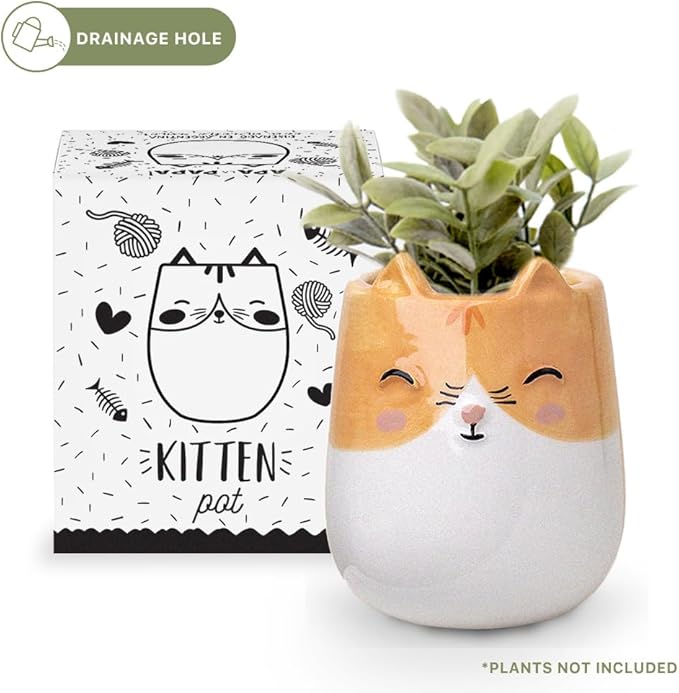 Kitten Animal Ceramic Planter for Indoor and Outdoors, 3 x 3 x 4 in., Cute Hand Painted Designed in Argentina, Convenient Drain Hole