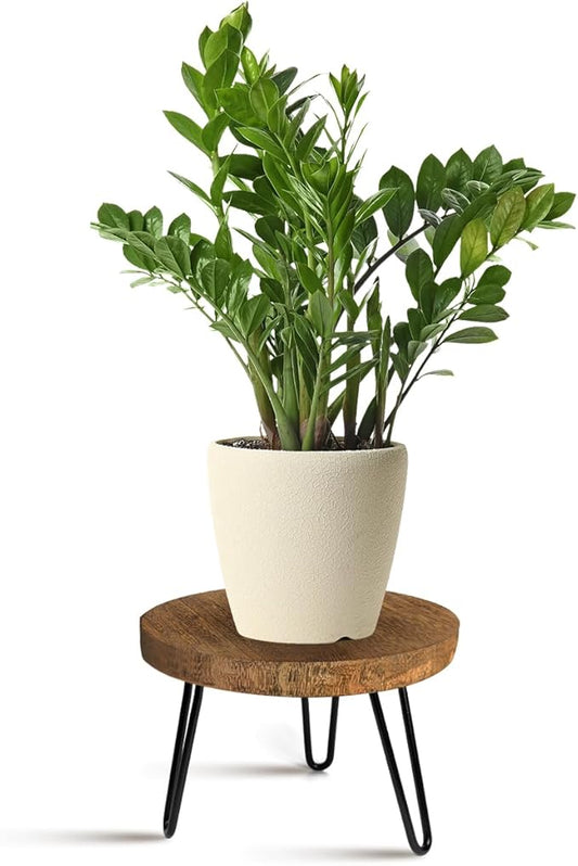 OBTAIN Plant Stand Indoor Outdoor Wood Mid Century Plant Stand for Indoor Plants, Modern Plant Table Round Plant Stool, Boho Rustic Wooden Stool for Plant Pot Hol (L)