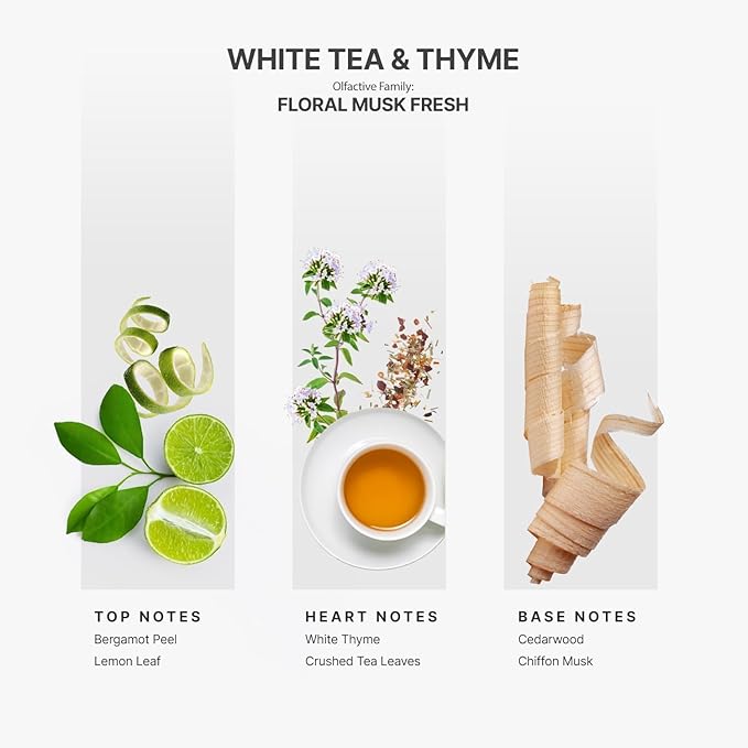 Aromaplan Hotel Scents White Tea & Thyme 5 Fl Oz (148ml), Home Luxury Aroma & Hotel Fragrance Diffuser Oil- Hotel Diffuser Oil for Aromatherapy- USA Made, Bigger Bottle, Bolder Aroma & Longer Lasting