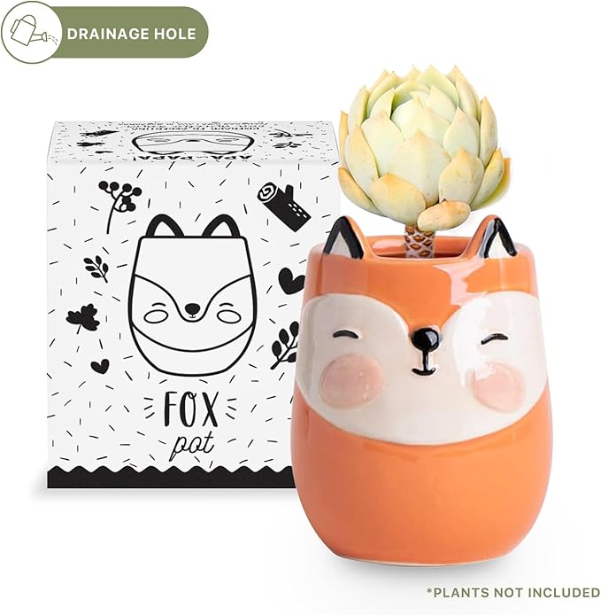 Fox Animal Ceramic Planter for Indoor and Outdoors, 3 x 3 x 4 in., Cute Hand Painted Designed in Argentina, Convenient Drain Hole