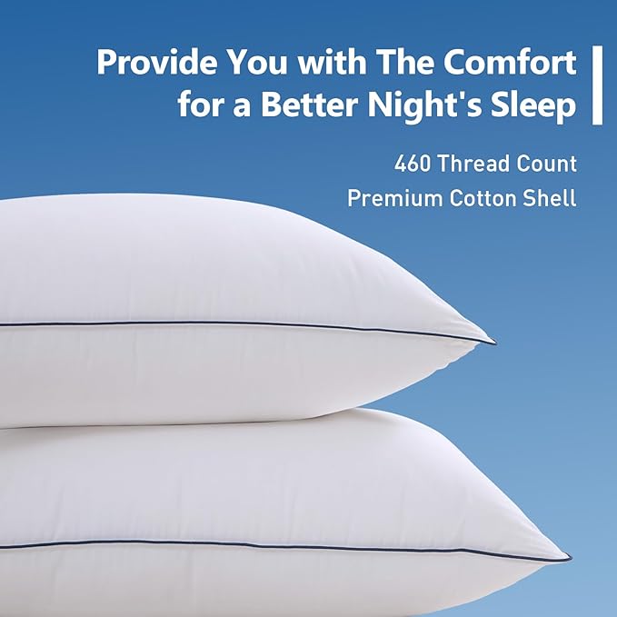 Goose Down Bed Pillow, Queen Size Bed Pillows for Sleeping, Ultra-Soft 750 Fill-Power Hotel Collection Pillow for Back, Stomach or Side Sleepers (20 * 28,Pack of 1)