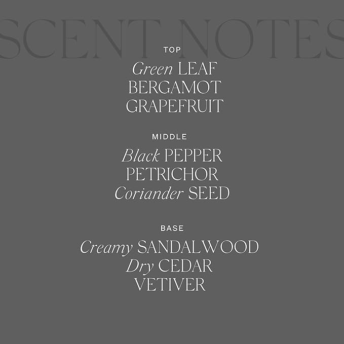 Antica Farmacista Home Ambiance Diffuser,Tarmac, 10.8 Fl Oz