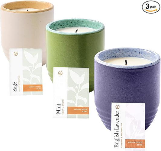Modern Sprout Garden Vibes 2-in-1 Soy Candle & Planter - 3-Pack Indoor Set (Violet Hour, in The Weeds, Golden Moments) 6 Oz Scented Candles with Lavender, Sage & Mint Seeds – 38–40 Hr Burn Each