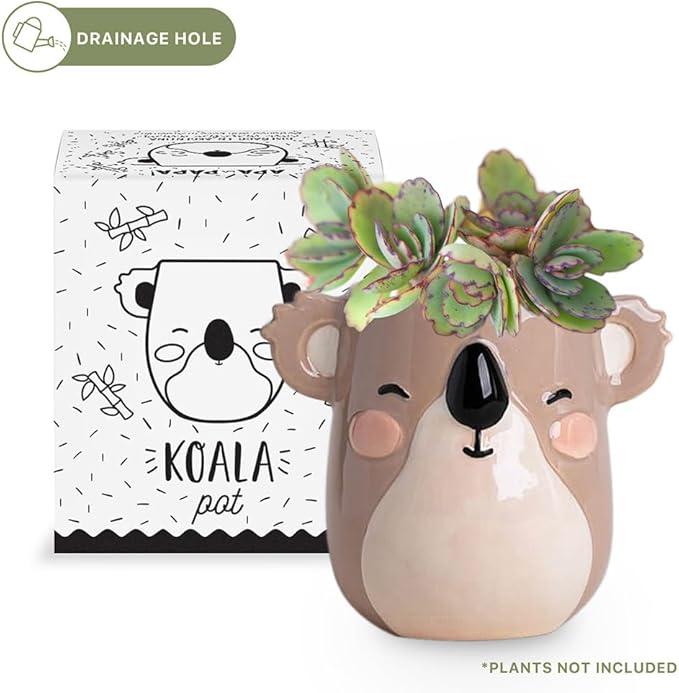 Koala Animal Ceramic Planter for Indoor and Outdoors, 3 x 3 x 4 in., Cute Hand Painted Designed in Argentina, Convenient Drain Hole