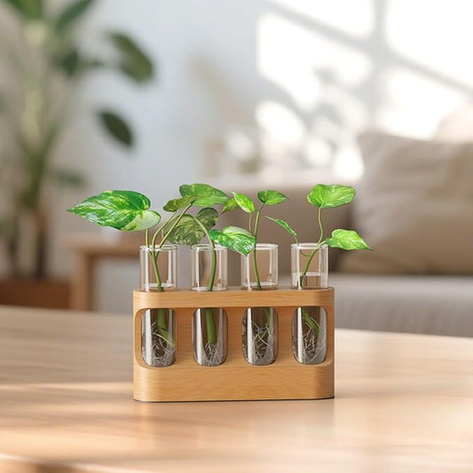 Plant Propagation Station with 4 Glass Test Tubes & Beech Wood Stand, Gardening Gifts for Mom Women Plant Lovers, Hydroponic Vase for Indoor Plants, Desktop Terrarium Decor