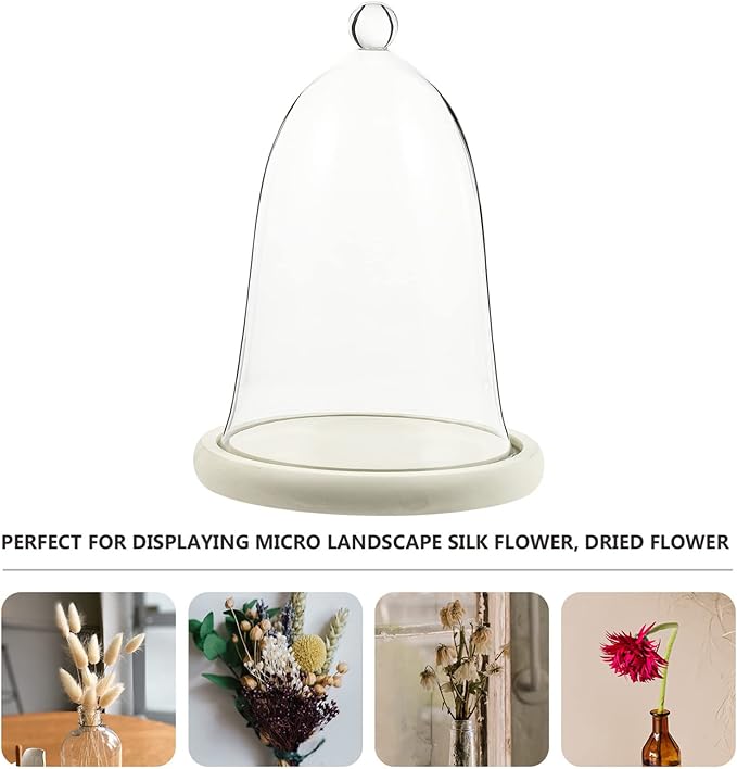 Clear Glass Dome Cloche with Rustic Wooden Base Antique Bell Jar Display Dome for Plants Succulents Fairy Lights Photos Medals Decorative Fill and More White