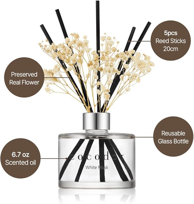 COCODOR Preserved Real Flower Reed Diffuser/Black Cherry / 6.7oz(200ml) / 2 Pack/Reed Diffuser Set, Oil Diffuser & Reed Diffuser Sticks, Home Decor & Office Decor, Fragrance and Gifts