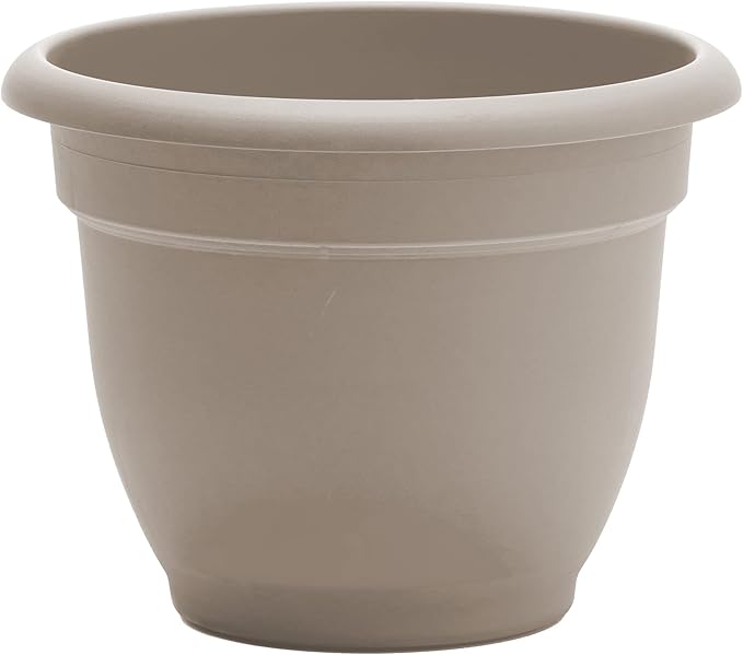 Bloem Ariana Self Watering Planter: 12" - Pebble Stone - Durable Resin Pot, for Indoor and Outdoor Use, Self Watering Disk Included, Gardening, 3 Gallon Capacity
