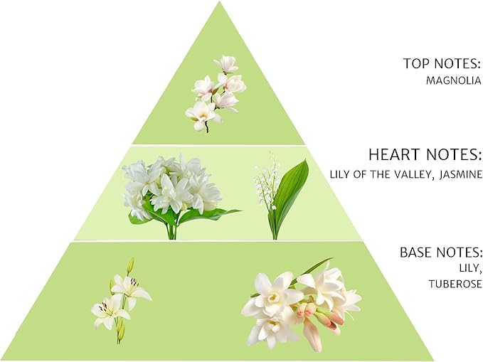 SPRING Fragrance Reed Diffuser Set | Fragrance Made in France | Home Décor | Scented Aromatic Oil | Room Air Freshener White Flower | 3.4 oz (100ml) | Lily, Jasmine, Lily of The Valley and Tuberose