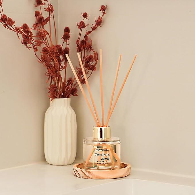 100ml Scent Diffuser with 6 Fiber Sticks, 3.5 oz Reed Diffuser Set Aromatherapy Fragrance Diffusers Air Fresheners for Home Bedroom Bathroom (Cantaloupe)