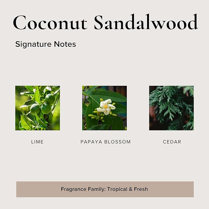 BROKEN TOP Natural Reed Diffuser Set (Coconut Sandalwood)