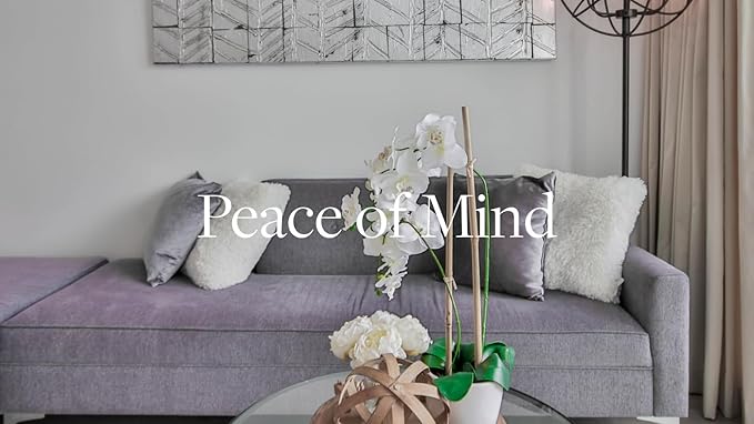 Aera Home Hygiene Lavender and Bergamot - Essential Oil for Home - Relaxing Fragrance - Notes of Lavender, Lavandin and Wild Mint - Scent Refill - Works with The Aera Diffuser