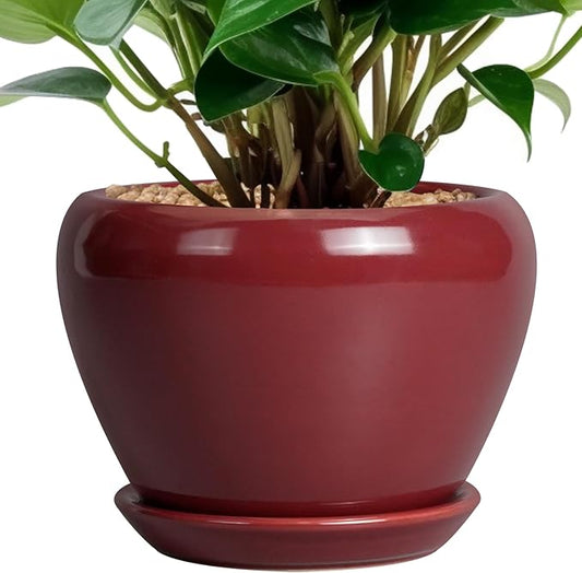 Ceramic Pot for Plants - 6 Inch Plant Pot Indoor with Drainage Hole and Saucer Succulent Outdoor Planter Round Flower Pot for House Patio Decor Red
