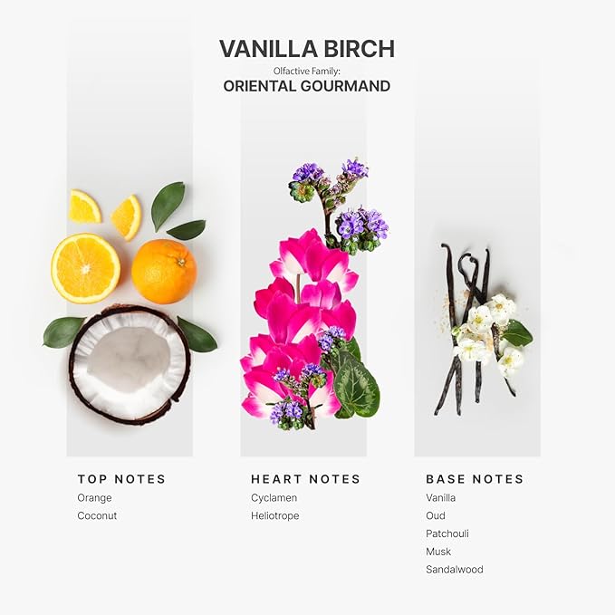 Aromaplan Hotel Scents Vanilla Birch 5 Fl Oz (2 Pack), Luxury Aroma & Hotel Fragrance Diffuser Oil- Hotel Diffuser Oil for Aromatherapy- USA Made, Bigger Bottle, Bolder Aroma & Longer Lasting