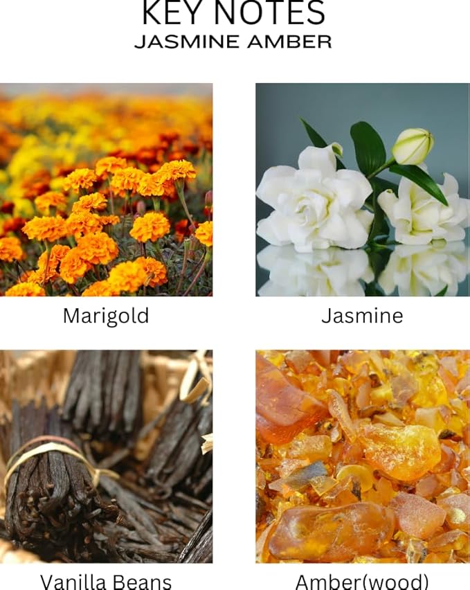 Reed Diffuser Set - Jasmine Amber Oil, Oil Diffuser Sticks, Bathroom Diffuser, Bathroom Decor, 200ml with Preserved Flowers - PEANÄK