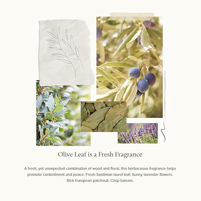 Thymes Bath Soap - 6 Oz - Olive Leaf