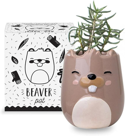 Beaver Animal Ceramic Planter for Indoor and Outdoors, 3 x 3 x 4 in., Cute Hand Painted Designed in Argentina, Convenient Drain Hole