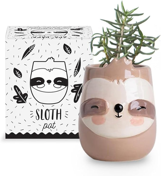 Sloth Animal Ceramic Planter for Indoor and Outdoors, 3 x 3 x 4 in., Cute Hand Painted Designed in Argentina, Convenient Drain Hole