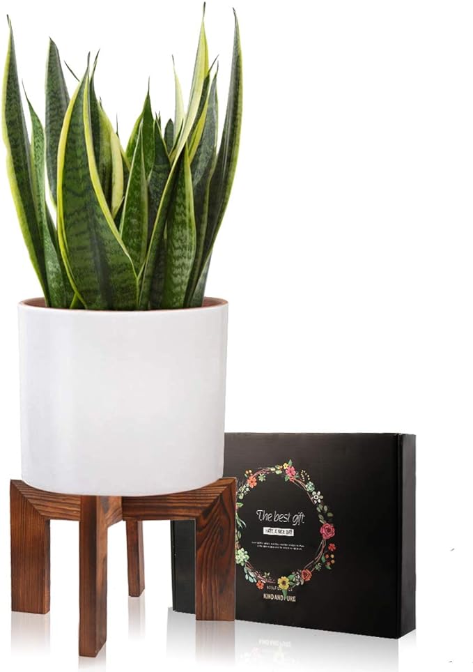 Gendral Forwepup Wood Plant Stand, Mid Century Modern Planter, Rattan Flower Pot Stand, Low Short Plant Stands for Indoor - Boho Rustic Wooden Stool for Plant Pot Holder, Fit 5-15 Inch Pot
